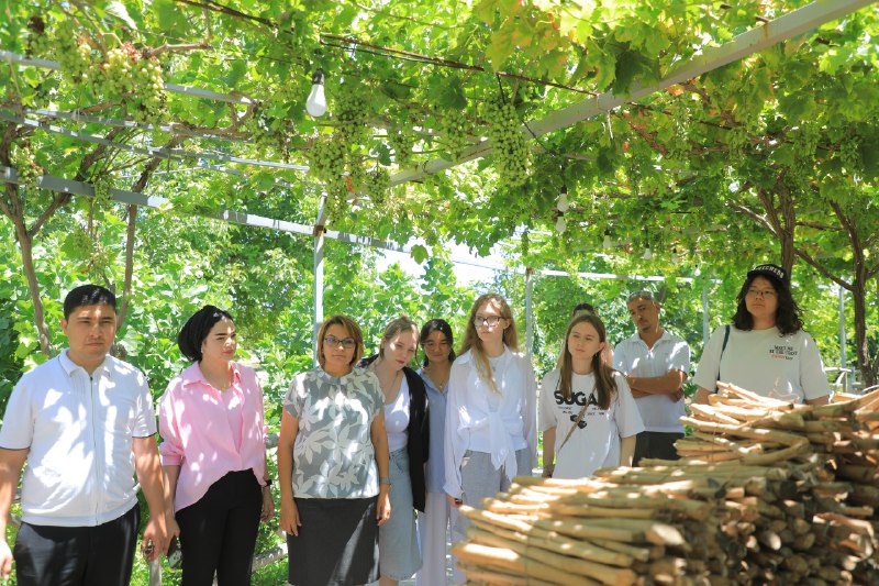 Milliy san'at sirlari sari yana bir qadam — yozgi maktabning ikkinchi haftasi boshlandi